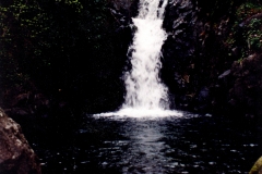 Charco de los Nogales