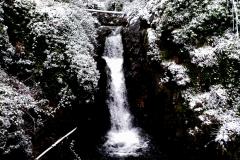 Nieve en los Nogales