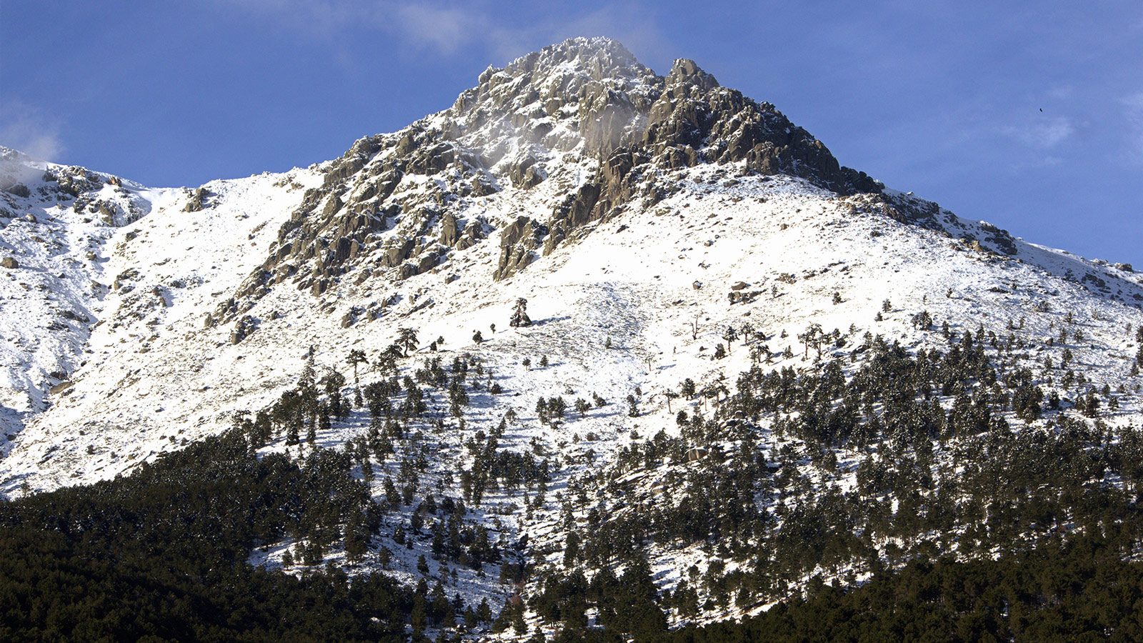 La Cabrilla
